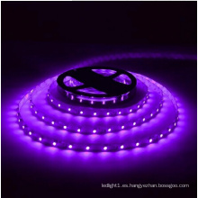 Tira de LED morado Ce y Rhos 30SMD5050